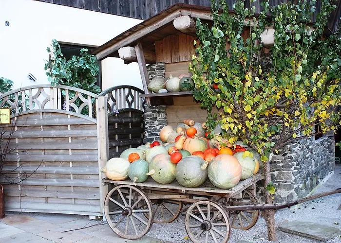 招待所 卡普夫酒店 4*