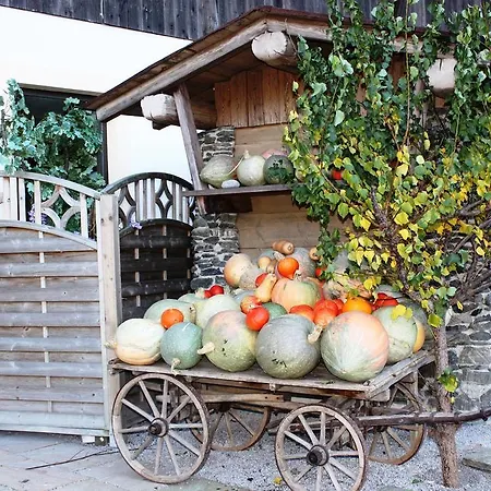 招待所 卡普夫酒店 4*